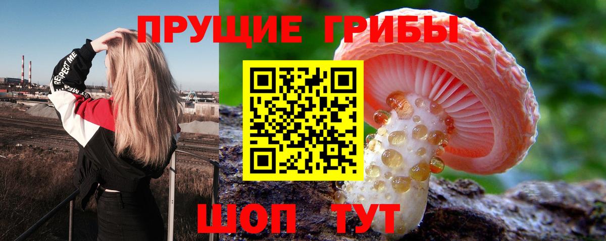 Псилоцибиновые грибы GOLDEN TEACHER Магадан