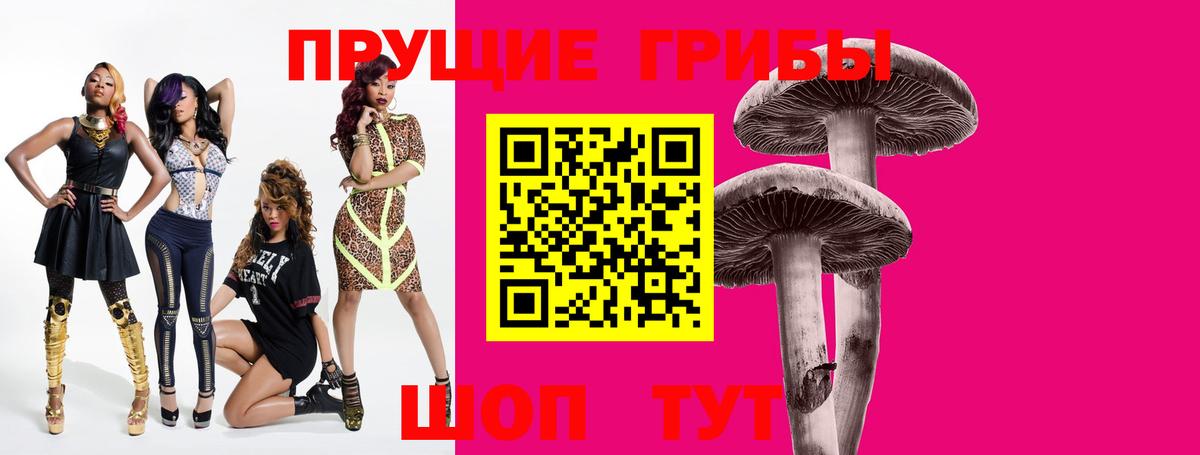 купить закладку  Вход с VPN  Магадан  Галлюциногенные грибы MAGIC MUSHROOMS 